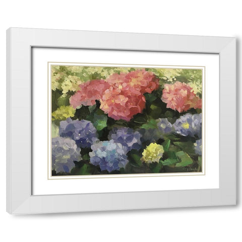 Hydrangeas White Modern Wood Framed Art Print with Double Matting by Strube, Ling