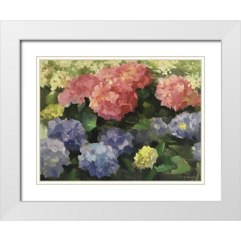 Hydrangeas White Modern Wood Framed Art Print with Double Matting by Strube, Ling