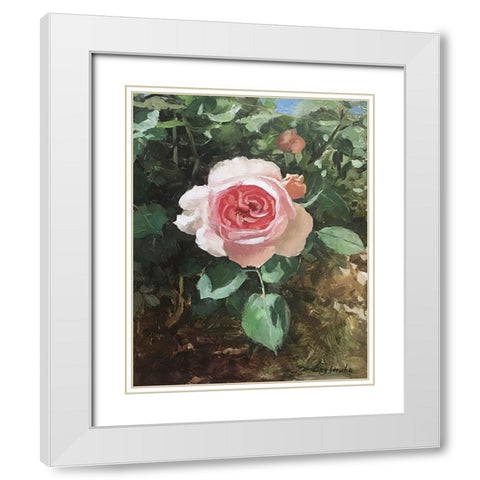 Garden Rose I White Modern Wood Framed Art Print with Double Matting by Strube, Ling
