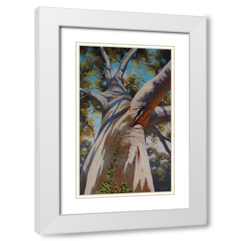 Gum Tree Portrait White Modern Wood Framed Art Print with Double Matting by Gercken, Graham