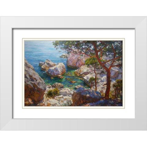 Rocky Coast X White Modern Wood Framed Art Print with Double Matting by Sviridov, Sergei
