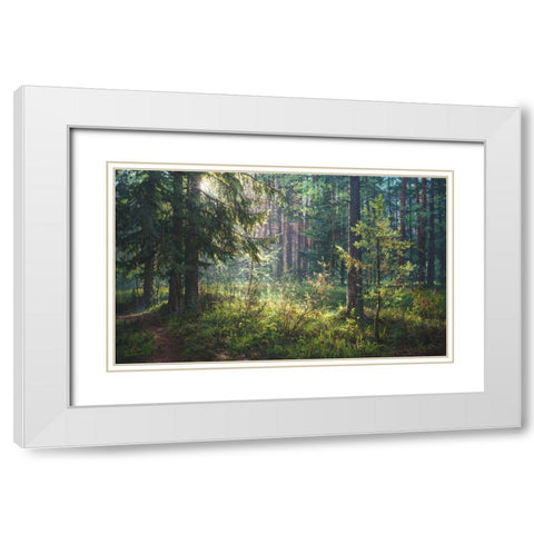 The Secret of the Morning Forest White Modern Wood Framed Art Print with Double Matting by Yushkevich, Viktor
