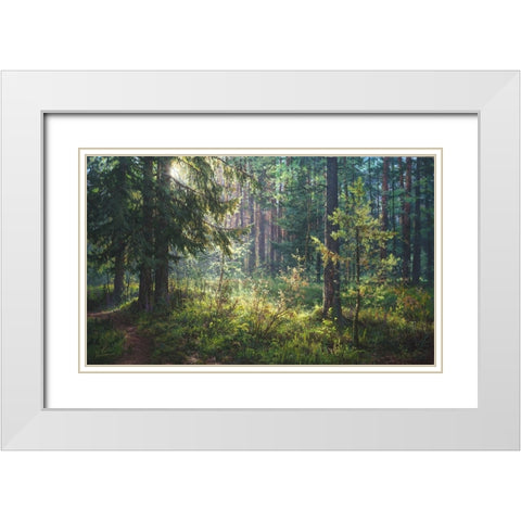 The Secret of the Morning Forest White Modern Wood Framed Art Print with Double Matting by Yushkevich, Viktor