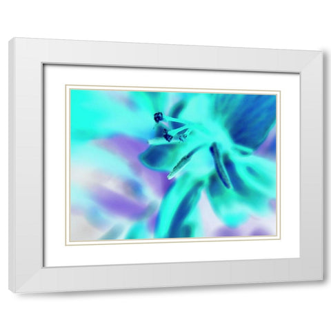 Turquoise Petals White Modern Wood Framed Art Print with Double Matting by Grayscale