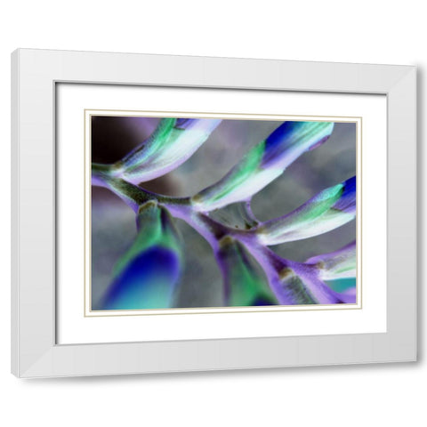 Purple Spine White Modern Wood Framed Art Print with Double Matting by Grayscale