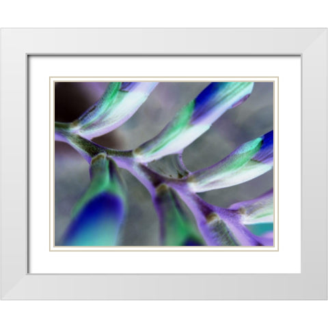 Purple Spine White Modern Wood Framed Art Print with Double Matting by Grayscale
