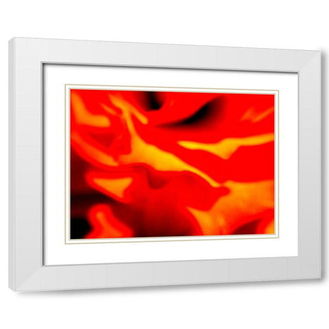 Red Petal I White Modern Wood Framed Art Print with Double Matting by Grayscale