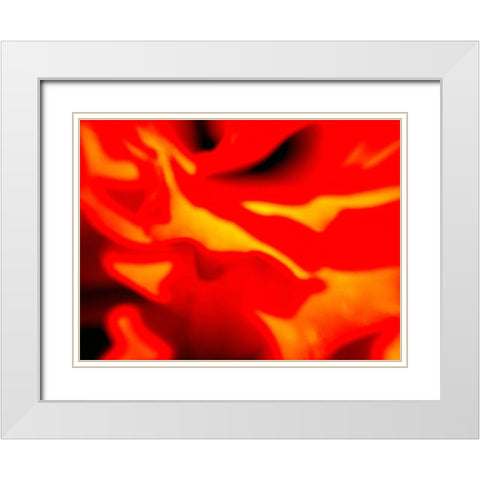 Red Petal I White Modern Wood Framed Art Print with Double Matting by Grayscale