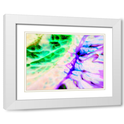Biologic I White Modern Wood Framed Art Print with Double Matting by Grayscale