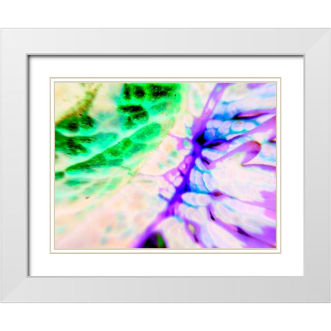 Biologic I White Modern Wood Framed Art Print with Double Matting by Grayscale