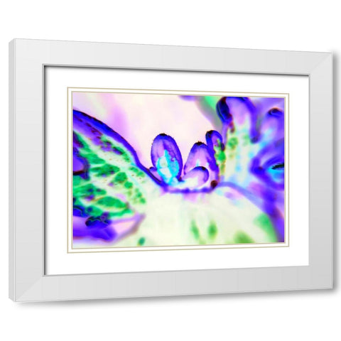 Biologic II White Modern Wood Framed Art Print with Double Matting by Grayscale