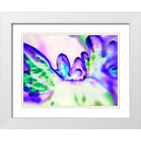 Biologic II White Modern Wood Framed Art Print with Double Matting by Grayscale