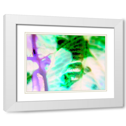 Biologic III White Modern Wood Framed Art Print with Double Matting by Grayscale