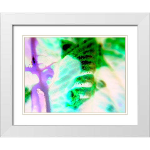 Biologic III White Modern Wood Framed Art Print with Double Matting by Grayscale