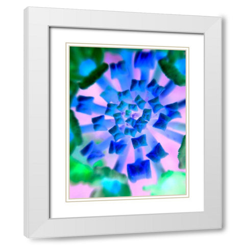 Radial Bowties II White Modern Wood Framed Art Print with Double Matting by Grayscale