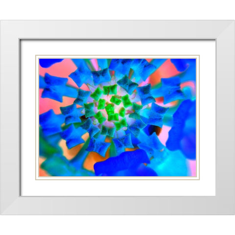 Radial Bowties III White Modern Wood Framed Art Print with Double Matting by Grayscale