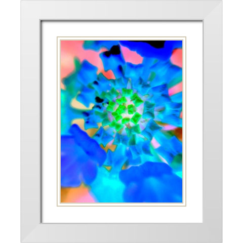 Radial Bowties IV White Modern Wood Framed Art Print with Double Matting by Grayscale