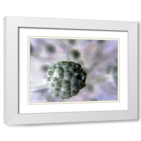 Soft Cluster II White Modern Wood Framed Art Print with Double Matting by Grayscale