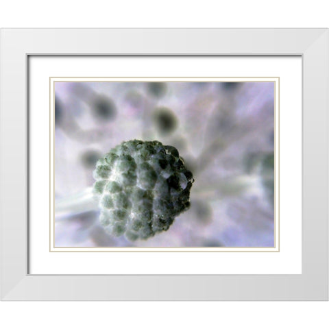 Soft Cluster II White Modern Wood Framed Art Print with Double Matting by Grayscale
