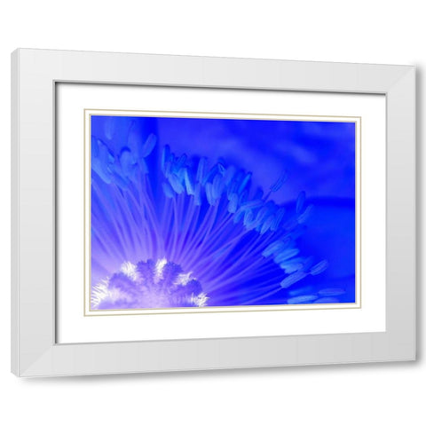 Natural Reactor I White Modern Wood Framed Art Print with Double Matting by Grayscale