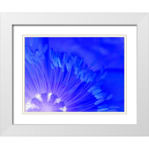 Natural Reactor I White Modern Wood Framed Art Print with Double Matting by Grayscale