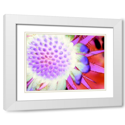 Natural Glow I White Modern Wood Framed Art Print with Double Matting by Grayscale