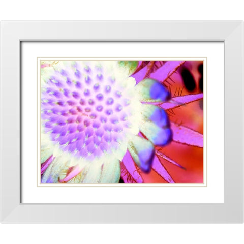 Natural Glow I White Modern Wood Framed Art Print with Double Matting by Grayscale