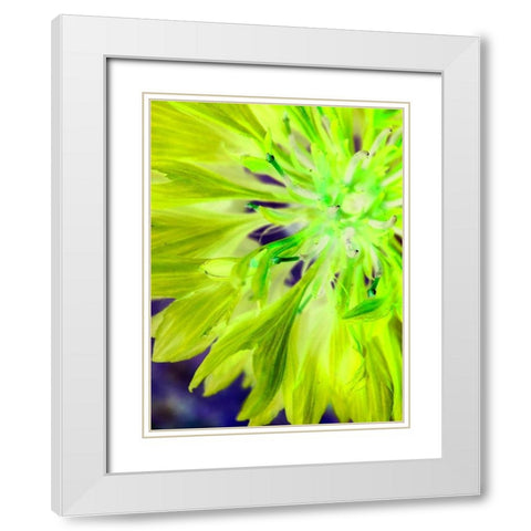 Natural Glow II White Modern Wood Framed Art Print with Double Matting by Grayscale