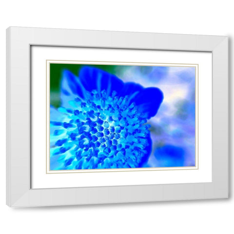 Blue Ball II White Modern Wood Framed Art Print with Double Matting by Grayscale