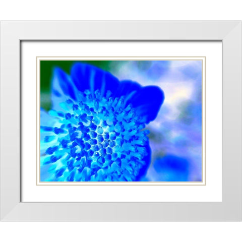 Blue Ball II White Modern Wood Framed Art Print with Double Matting by Grayscale