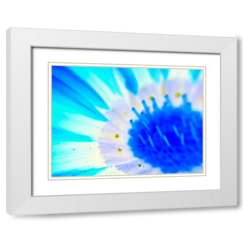 Natural Glow III White Modern Wood Framed Art Print with Double Matting by Grayscale