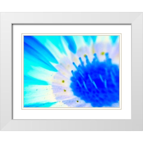 Natural Glow III White Modern Wood Framed Art Print with Double Matting by Grayscale