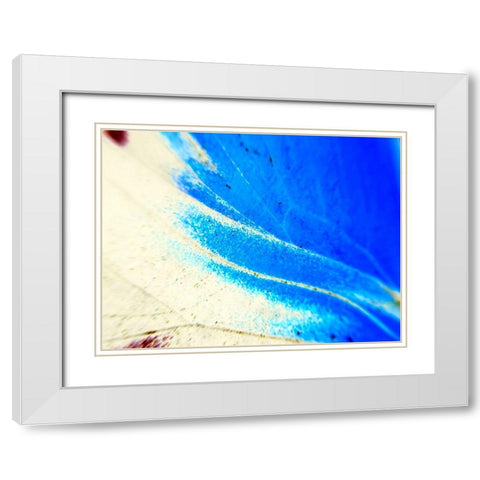 Stained Wing II White Modern Wood Framed Art Print with Double Matting by Grayscale
