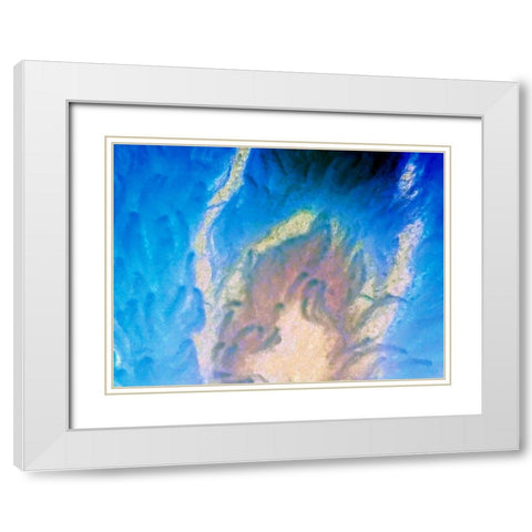 Blue Fur II White Modern Wood Framed Art Print with Double Matting by Grayscale
