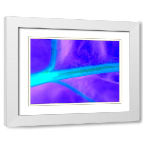 Energy Connection I White Modern Wood Framed Art Print with Double Matting by Grayscale