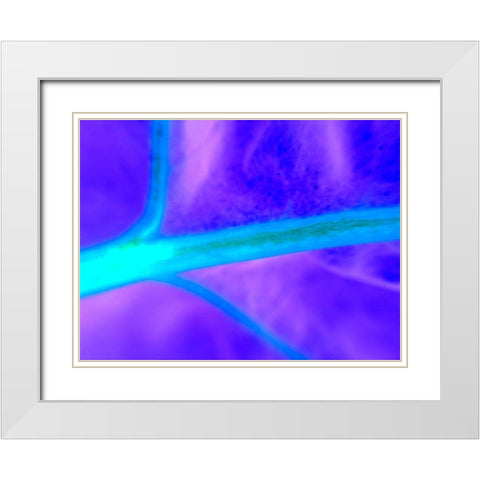 Energy Connection I White Modern Wood Framed Art Print with Double Matting by Grayscale