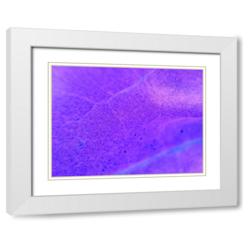 Energy Connection II White Modern Wood Framed Art Print with Double Matting by Grayscale