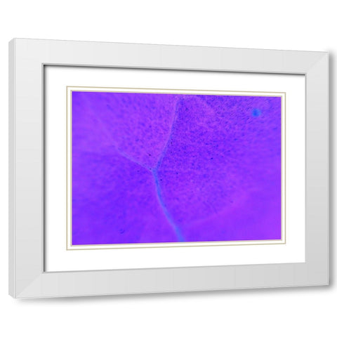 Energy Connection III White Modern Wood Framed Art Print with Double Matting by Grayscale