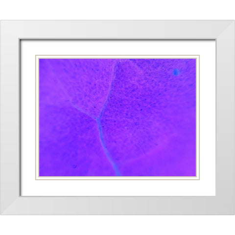 Energy Connection III White Modern Wood Framed Art Print with Double Matting by Grayscale