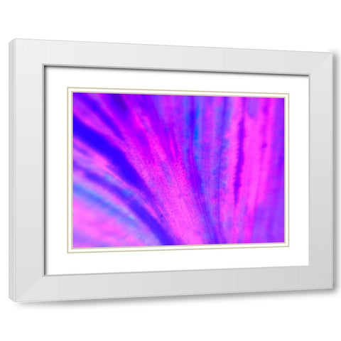 Energy Connection IV White Modern Wood Framed Art Print with Double Matting by Grayscale