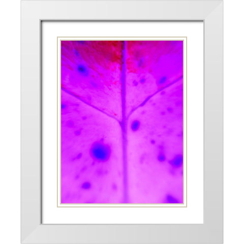 Purple Branch White Modern Wood Framed Art Print with Double Matting by Grayscale