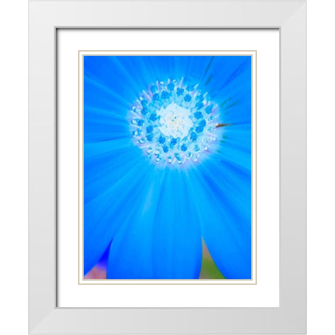 Natural Reactor II White Modern Wood Framed Art Print with Double Matting by Grayscale