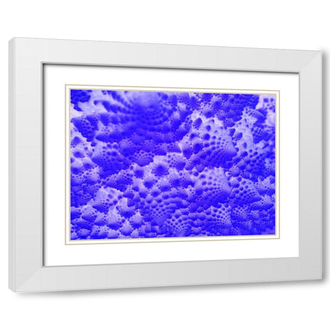 Fractal Clouds I White Modern Wood Framed Art Print with Double Matting by Grayscale