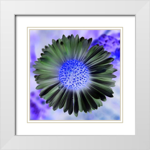 Green Flower I White Modern Wood Framed Art Print with Double Matting by Grayscale