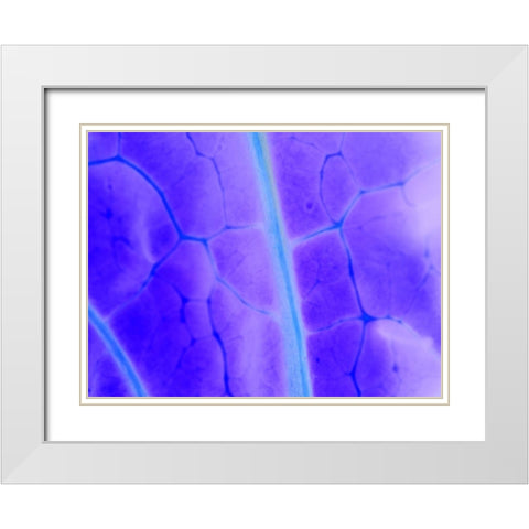 Turquoise Ridge I White Modern Wood Framed Art Print with Double Matting by Grayscale