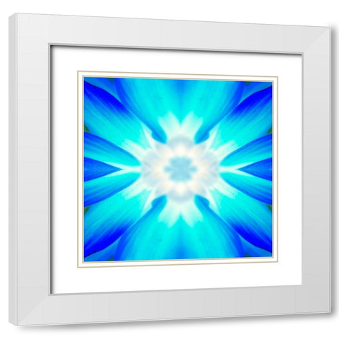 Flower Medallion IV White Modern Wood Framed Art Print with Double Matting by Grayscale