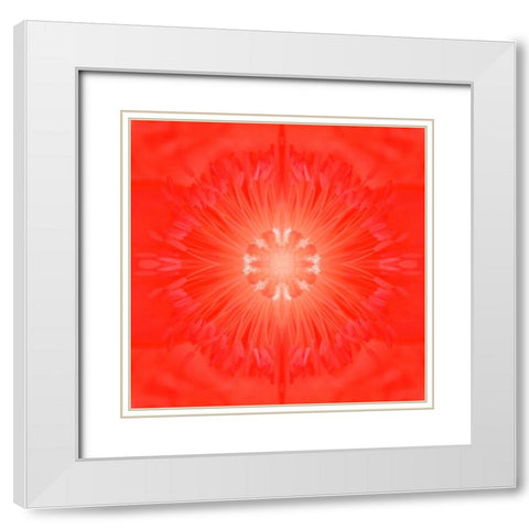 Flower Medallion III White Modern Wood Framed Art Print with Double Matting by Grayscale