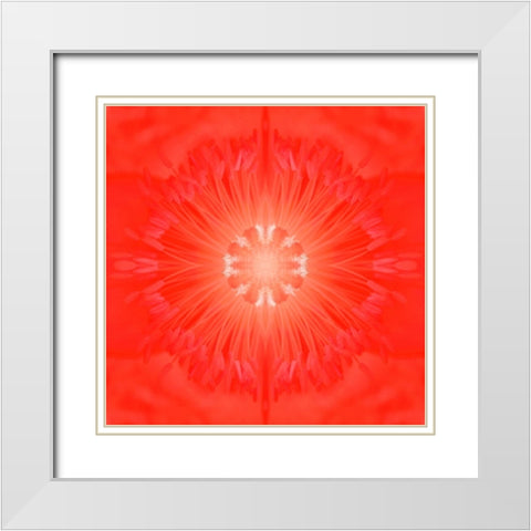 Flower Medallion III White Modern Wood Framed Art Print with Double Matting by Grayscale