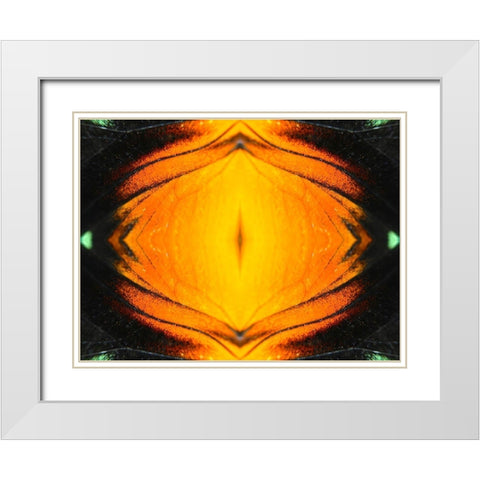 Butterfly Eye I White Modern Wood Framed Art Print with Double Matting by Grayscale