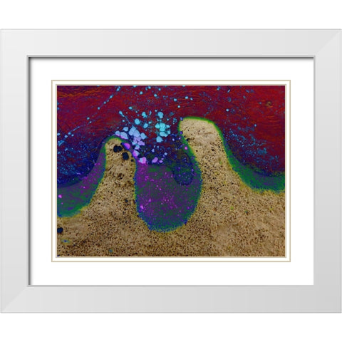 Bio Rainbow III White Modern Wood Framed Art Print with Double Matting by Grayscale